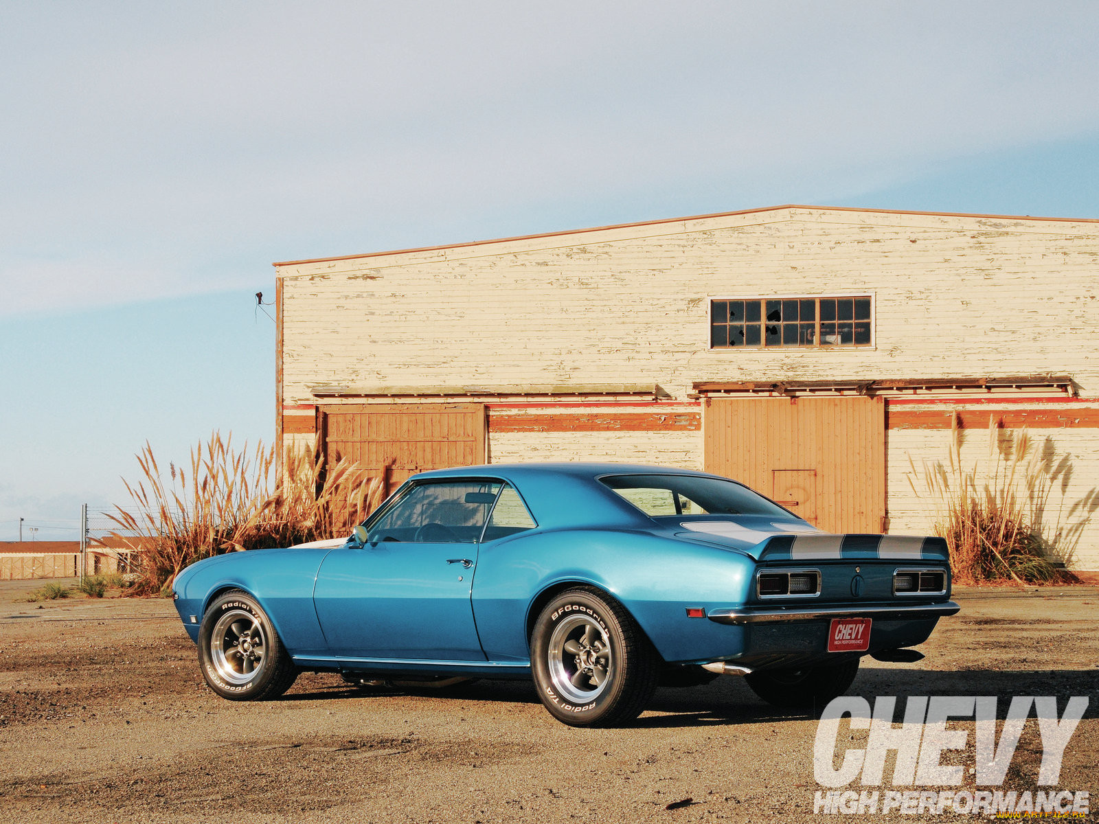 , camaro